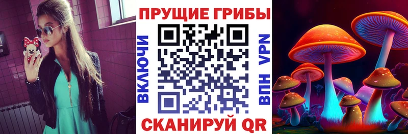 blacksprut маркетплейс  Волчанск  Псилоцибиновые грибы мухоморы 