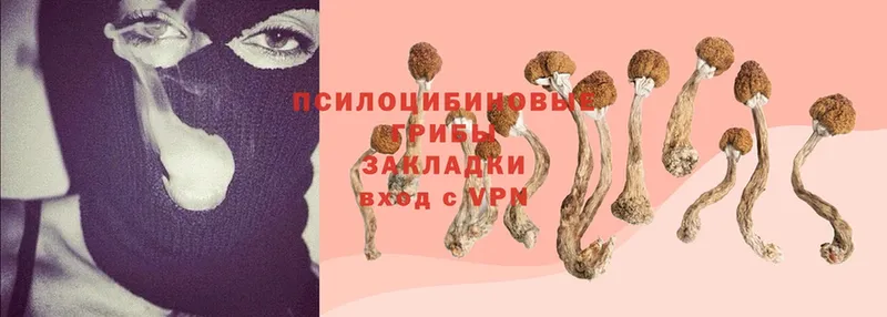 Галлюциногенные грибы Magic Shrooms  ссылка на мегу ссылка  Волчанск 